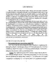 Những cơ hội và thách thức của các doanh nghiệp bán lẻ Việt Nam trong quá trình gia nhập WTO