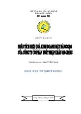 Phân tích hiệu quả kinh doanh mặt hàng gạo của công ty Angimex