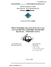 Phân tích hiệu quả sản xuất lúa cao sản tại Phường Vĩnh Hiệp - TP Rạch Giá