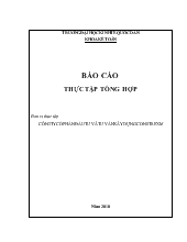 Báo cáo Thực tập tại công ty cổ phần đầu tư và tư vấn xây dựng constrexim