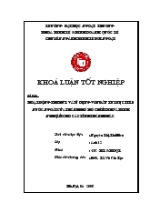 Khóa luận Hoạt động thu hút và sử dụng vốn đầu tư trực tiếp nước ngoài của thành phố Hồ Chí Minh và kinh nghiệm cho các tỉnh thành khác