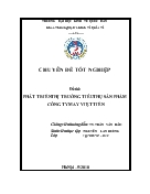 Chuyên đề Phát triển thị trường tiêu thụ sản phẩm công ty may việt tiến