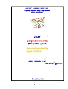 Tiểu luận PCR (polymerase chain reaction)