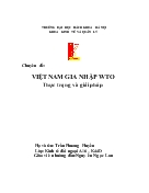 Chuyên đề Việt Nam gia nhập WTO thực trạng và giải pháp