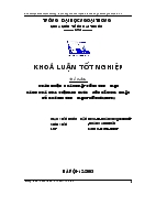 Đề tài Hoàn thiện pháp luật về thương mại hàng hoá của Việt Nam trước yêu cầu gia nhập tổ chức thương mại thế giới (WTO)