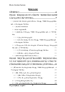 Hoàn thiện công tác kế toán tiêu thụ và xác định kết quả kinh doanh tại Công ty TNHH Công Nghệ Sạch và thương mại Việt Hoa