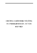 Tình hình hoạt động của Công ty TNHH kiểm toán - Tư vấn Đất Việt