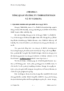 Tình hình hoạt động tại Công ty TNHH kiểm toán và tư vấn Dcpa