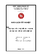 Đề tài Thực trạng đầu tư trực tiếp nước ngoài vào lĩnh vực phân phối bán lẻ của Việt Nam