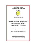 Đề tài Hành vi tiêu dùng nhiên liệu và đo lường sự nhận biết thương hiệu petrolimex