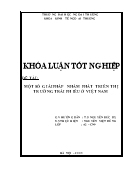 Đề tài Một số giải pháp nhằm phát triển thị trường trái phiếu tại Việt Nam