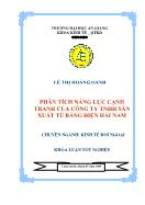 Đề tài Phân tích năng lực cạnh tranh của công ty TNHH sản xuất tủ bảng điện Hải Nam