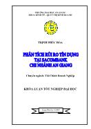 Đề tài Phân tích rủi ro tín dụng ở Sacombank chi nhánh An Giang