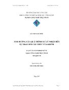 Luận văn Ảnh hưởng của quá trình xử lý nhiệt đến sự thay đổi cấu trúc của khóm