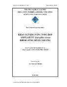 Luận văn Khảo sát khả năng tổng hợp amylase từ aspergillus oryzae khi bổ sung muối cảm ứng