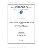 Luận văn Nghiên cứu sản xuất biodiesel từ mỡ cá basa