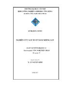 Luận văn Nghiên cứu sản xuất xoài miếng sấy