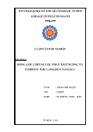 Luận văn Đóng góp chiến lược phát triển công ty TNHH - TM THY Long đến năm 2013