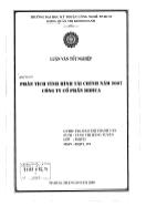 Luận văn Phân tích tình hình tài chính năm 2007 Công ty cổ phần BIBICA