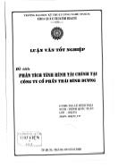 Luận văn Phân tích tình hình tài chính tại Công ty cổ phần Thái Bình Dương