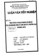 Luận văn Phân tích và hoạch định lợi nhuận của chi nhánh Công ty XNK dịch vụ thương mại INTIMEX. HCM