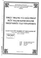 Luận văn Thực trạng và giải pháp đẩy mạnh kinh doanh nhập khẩu tại Vinapimex